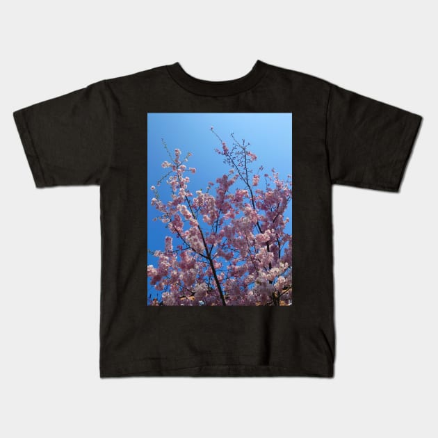 Pink cherry blossom, blue sky 22 Kids T-Shirt by bettyretro